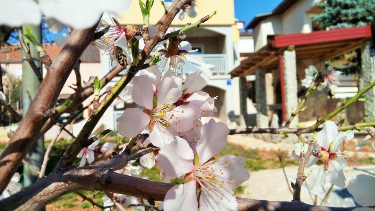 Apartmani Mala Sirena มาสเลนีซา ภายนอก รูปภาพ